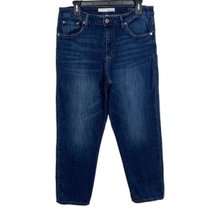 Ella Moss High Waist Straight Leg Jeans Size 12